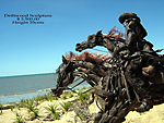 Sydney - Driftwood Horse Sculpture by Jennie Scott Cairns Artist Australia